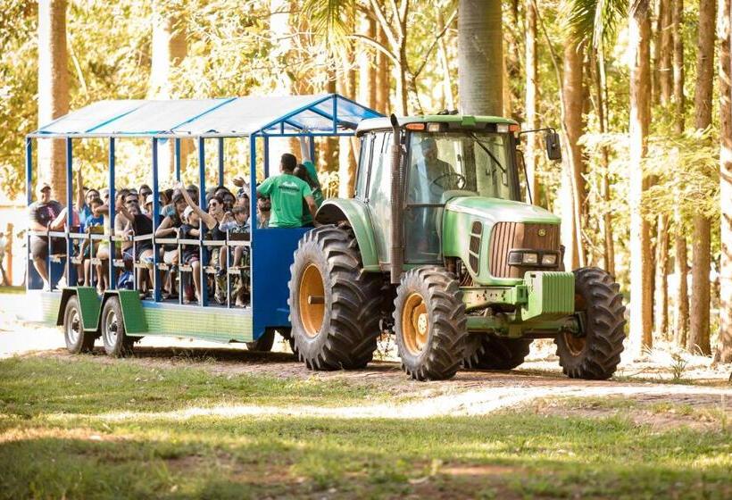 Santa Eliza Eco Resort