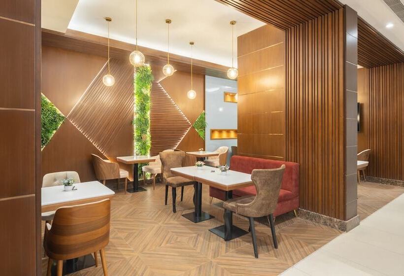 בית מלון כפרי Roots