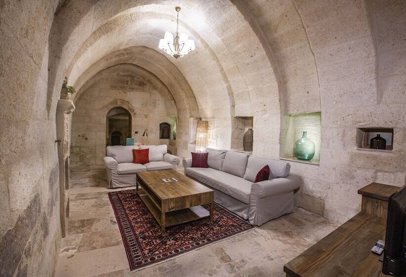 호텔 Sinasos Evleri