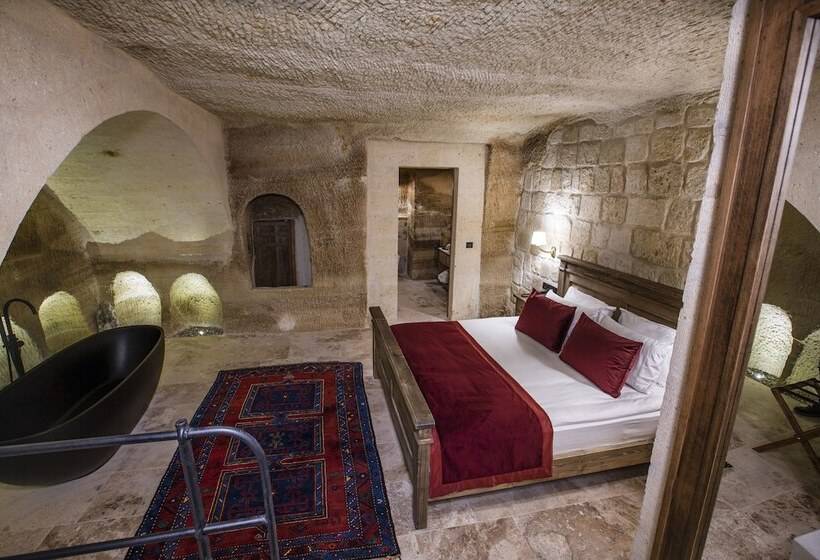 호텔 Sinasos Evleri