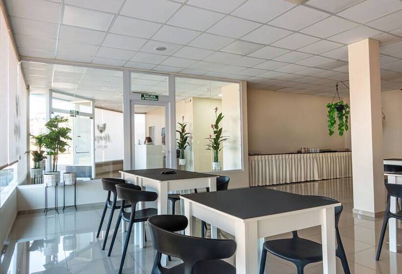 فندق Mensú Grand