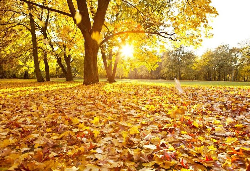 בית מלון כפרי Appartement Schattauer