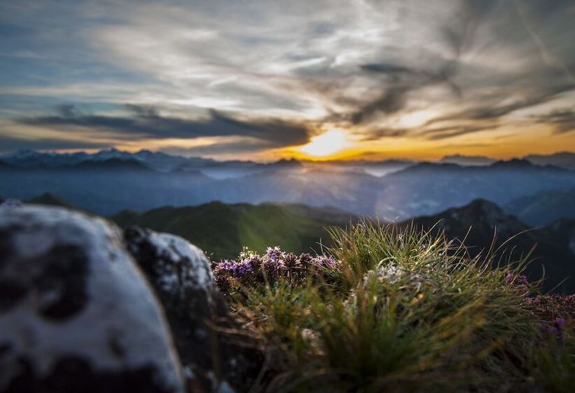 בית מלון כפרי Appartement Schattauer