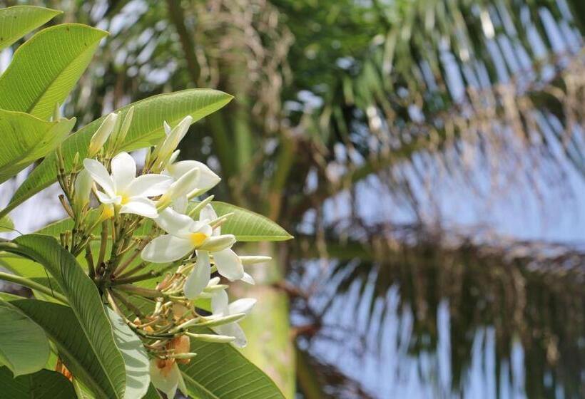 0031 Boutique Hotel & Restaurant Cumbuco