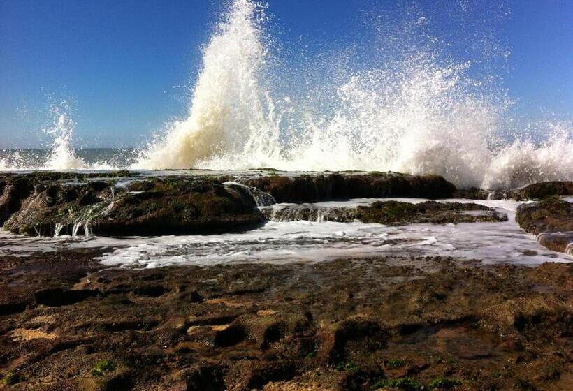 ベッドアンドブレックファースト Pousada Da Tina