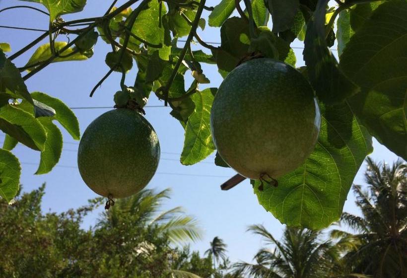 Bed and Breakfast Pousada Kite Guajiru