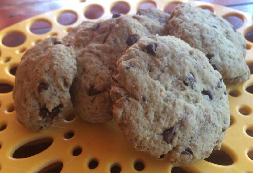 Bed and Breakfast Pousada Kite Guajiru