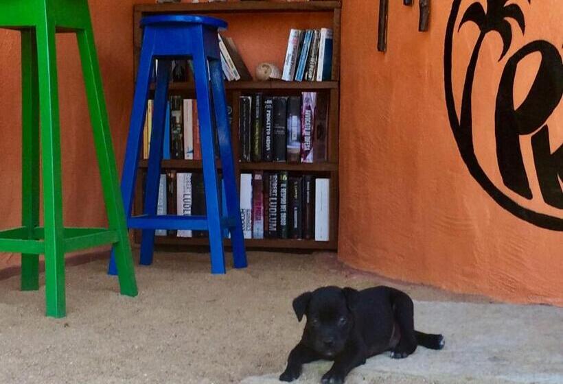 Bed and Breakfast Pousada Kite Guajiru