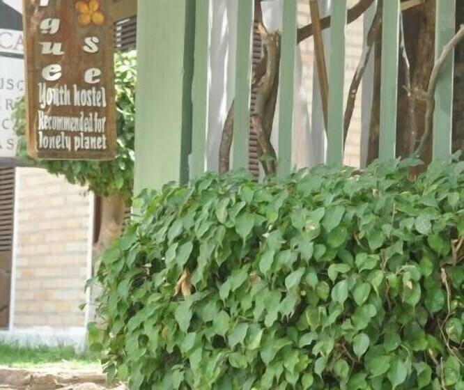 Отель Hostel E Pousada Da Rose