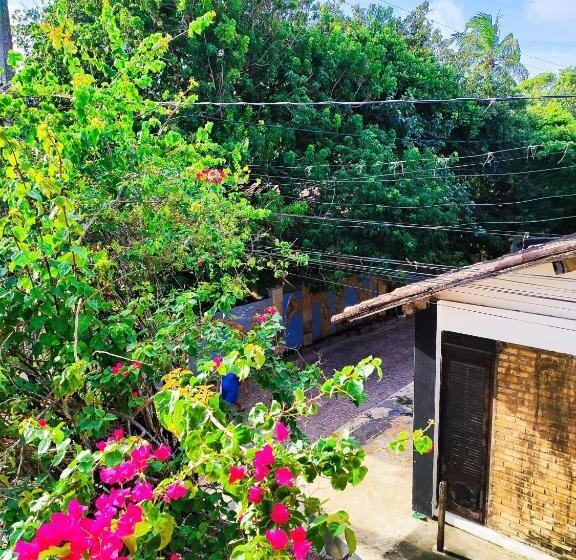 酒店 Hostel E Pousada Da Rose