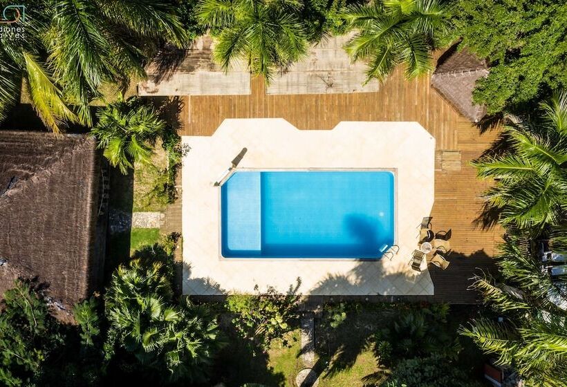 בית מלון כפרי Baía Sul