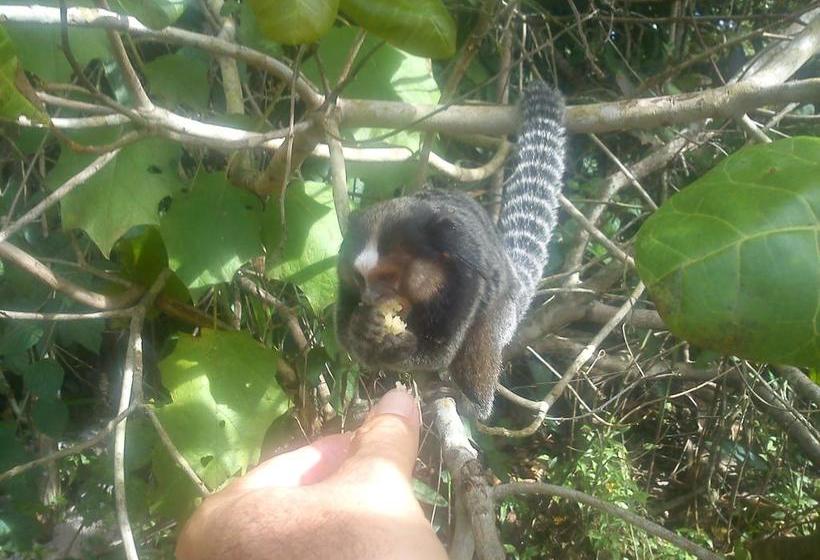 בית מלון כפרי Bed & Breakfast Morro De Sao Paulo