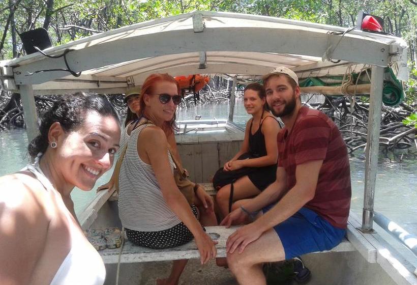 בית מלון כפרי Bed & Breakfast Morro De Sao Paulo