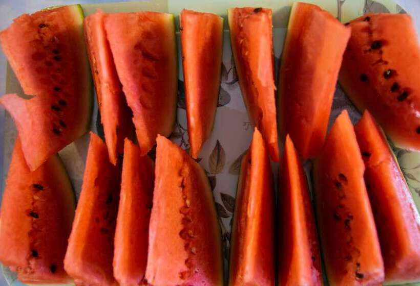 בית מלון כפרי Brisa Do Caitá Praia