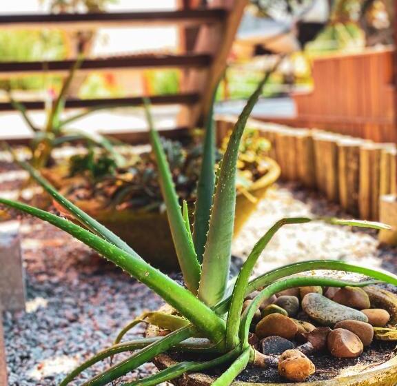 酒店 Calador Buzios