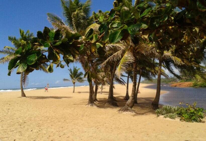 בית מלון כפרי Floresta Bungalows