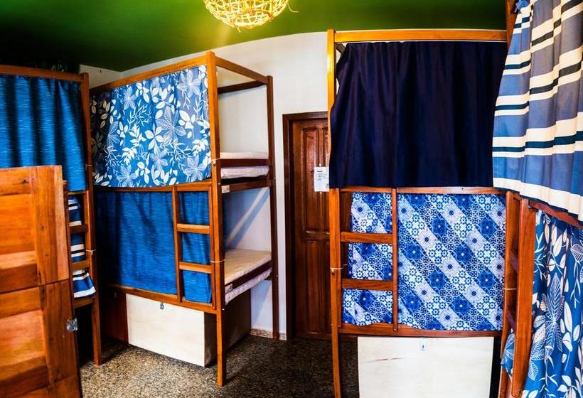 ホテル Local Hostel Manaus