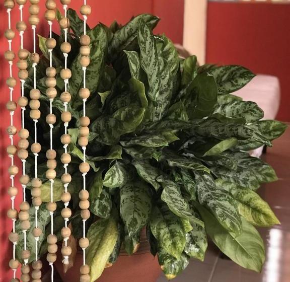 فندق Manamar Pousada