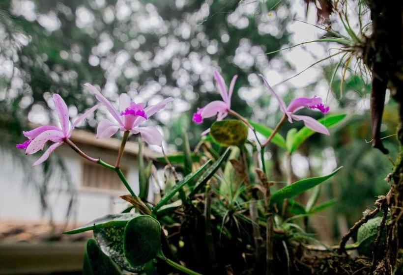 Hotel Na Mata Suites