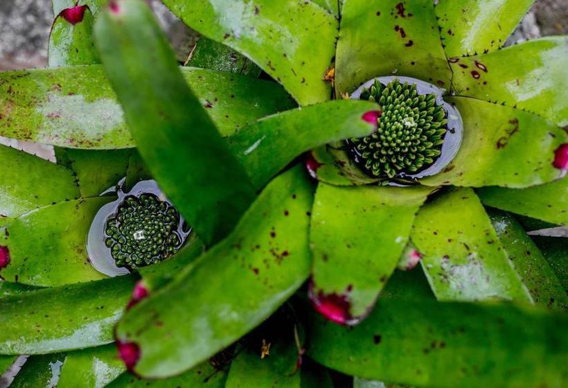 Hotel Na Mata Suites