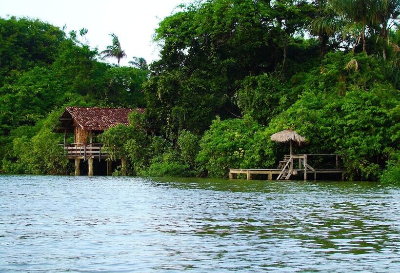 酒店 Paracauary Eco Pousada