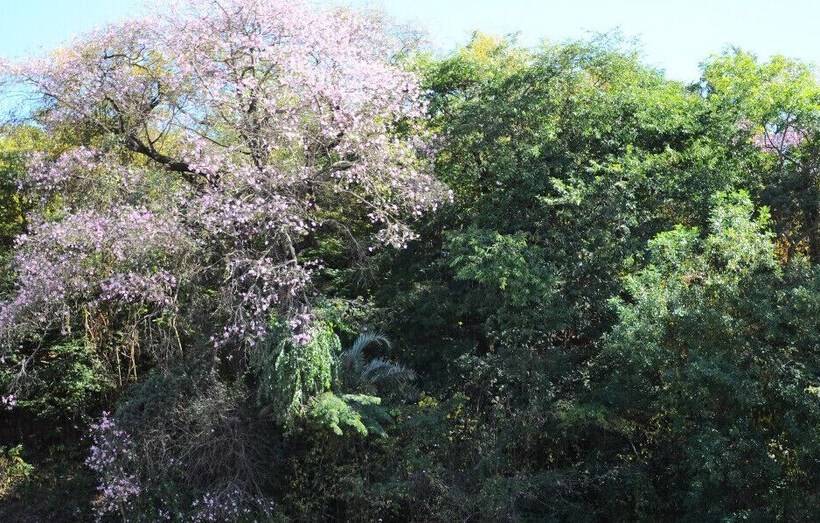 בית מלון כפרי Porto Do Sol