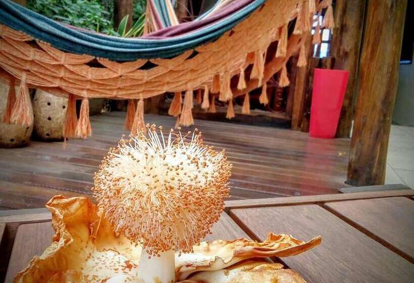 בית מלון כפרי Pousada Baobá E Spa