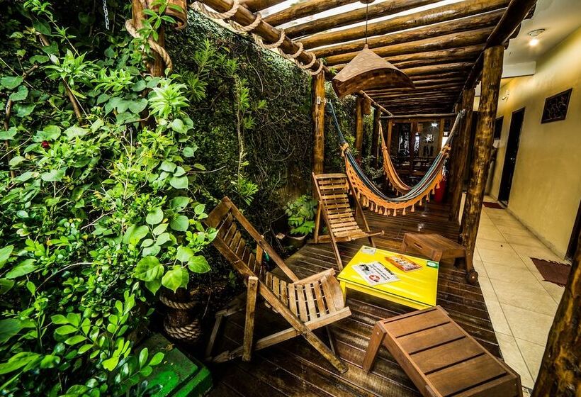 בית מלון כפרי Pousada Baobá E Spa