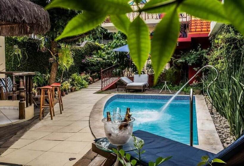 בית מלון כפרי Pousada Baobá E Spa