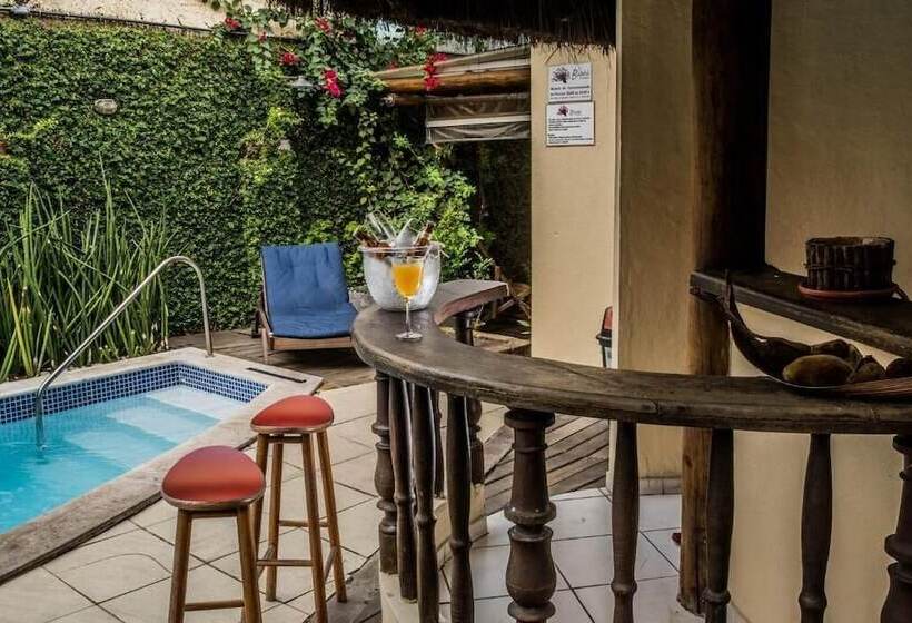 בית מלון כפרי Pousada Baobá E Spa