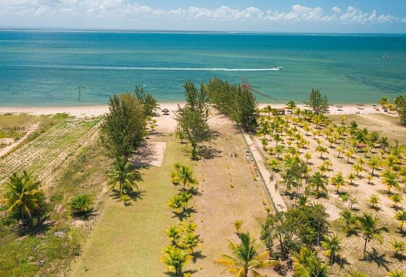 בית מלון כפרי Pousada Barrabella