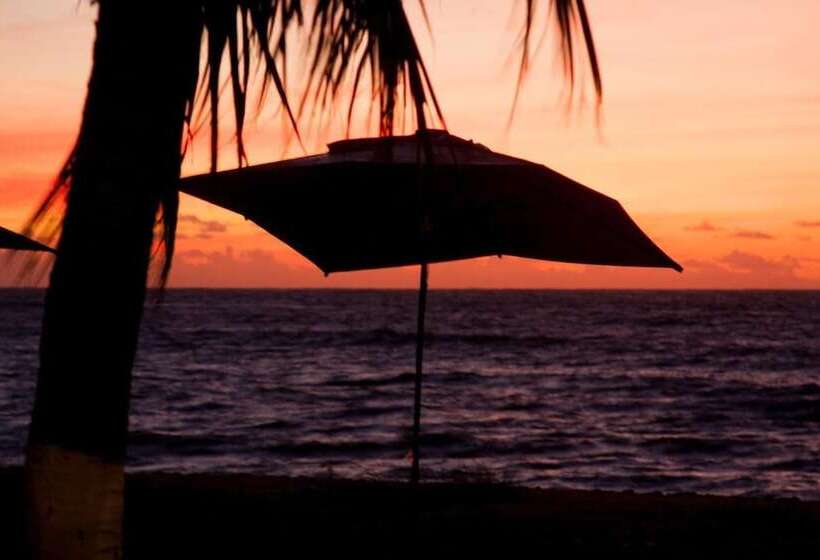 酒店 Pousada Coqueiro Verde