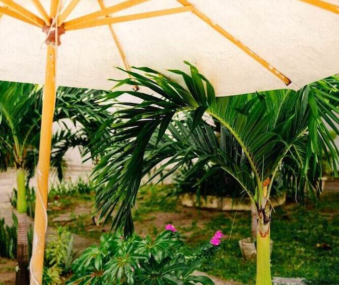 هتل Pousada Da Mercia