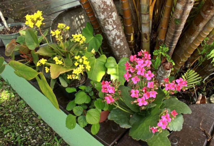 فندق Pousada Do Pinheiro