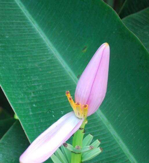 فندق Pousada Do Sidão