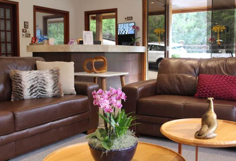 호텔 Pousada Grandchamp