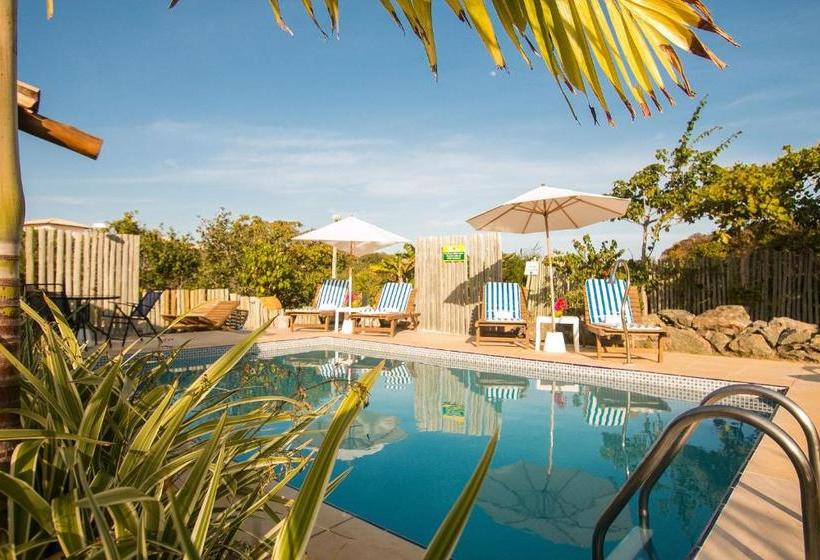 호텔 Pousada Jardim Cambui