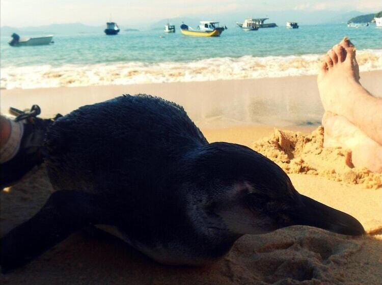 בית מלון כפרי Pousada Lagamar