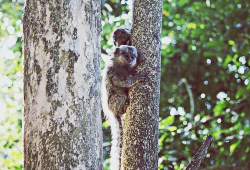 בית מלון כפרי Pousada Lagamar