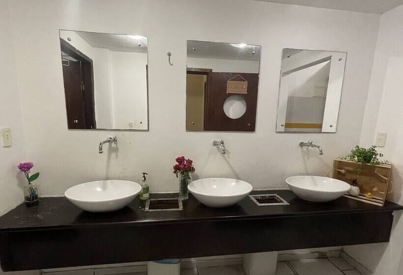 Отель Pousada Lampião E Maria Bonita