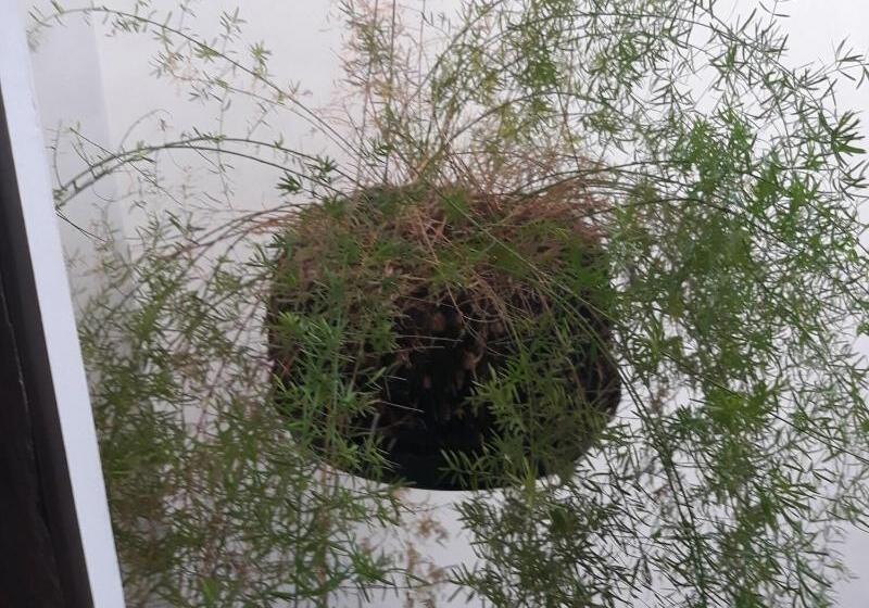 Отель Pousada Lymar