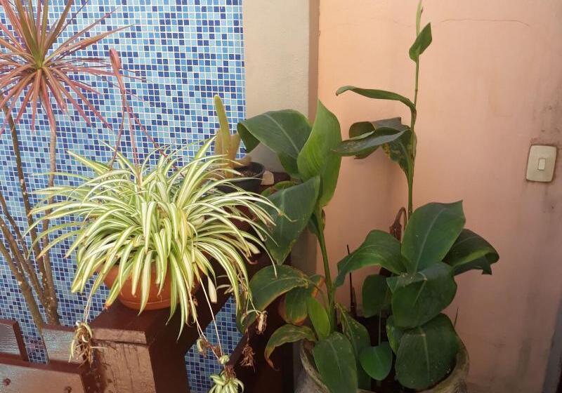 Отель Pousada Lymar