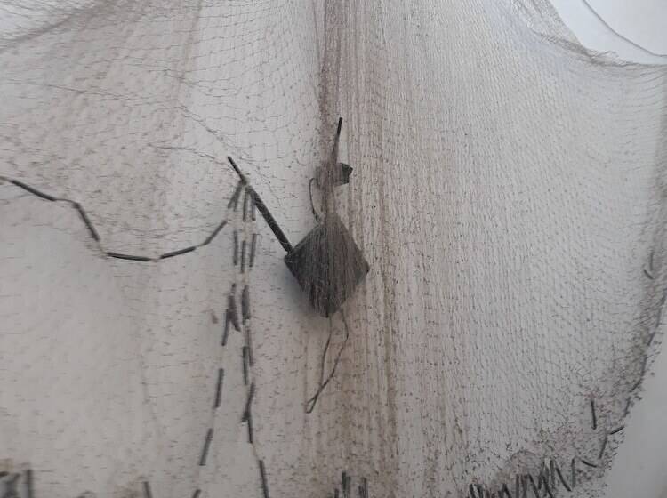 Отель Pousada Lymar