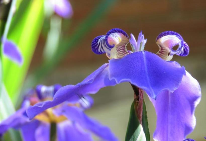 Отель Pousada Magia Da Montanha