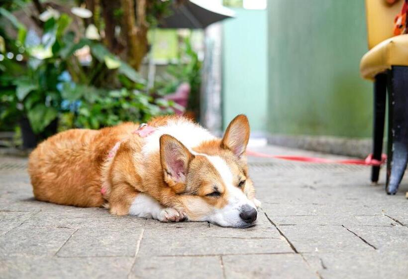בית מלון כפרי Pousada Pontal Gardens