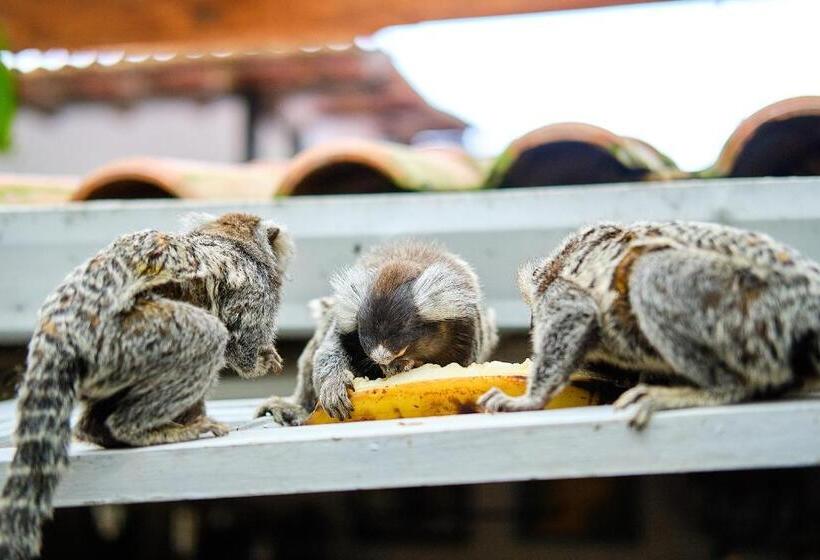 בית מלון כפרי Pousada Pontal Gardens