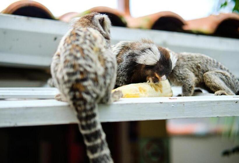 בית מלון כפרי Pousada Pontal Gardens