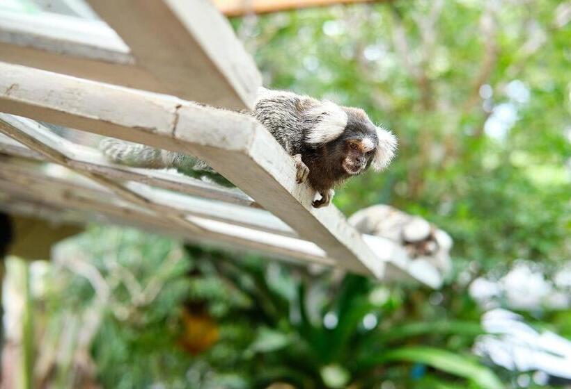 בית מלון כפרי Pousada Pontal Gardens