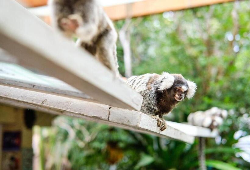 בית מלון כפרי Pousada Pontal Gardens