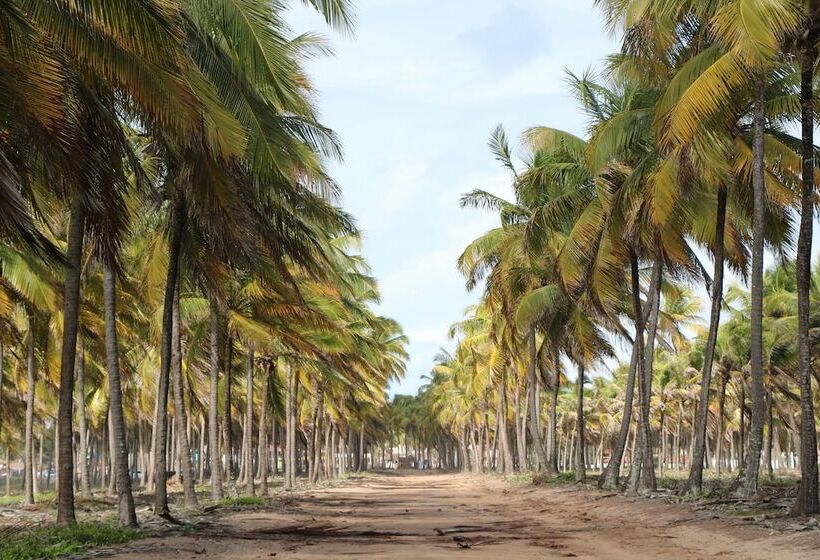 Отель Pousada Quatro Estações
